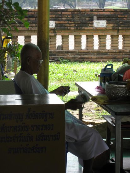Recht selten - Weisse Nonnen