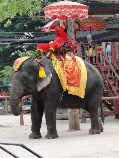 Nix fuer uns - wir gehen lieber zu Fuss