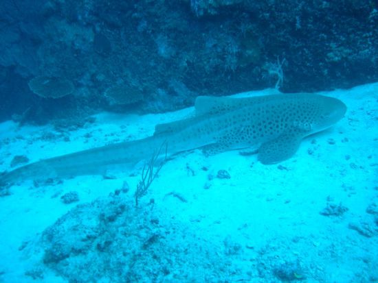 da hat er noch geschlafen...