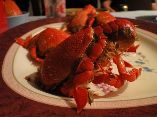 und so schnell waren sie auf dem Tisch