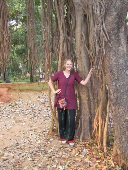 Im Botanischen Garten