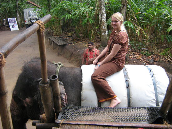 Tanja und der Elefant