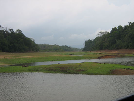 Periyar Wildlife Sanctuary
