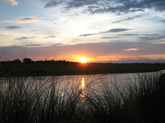 Sonnenuntergang über dem Park