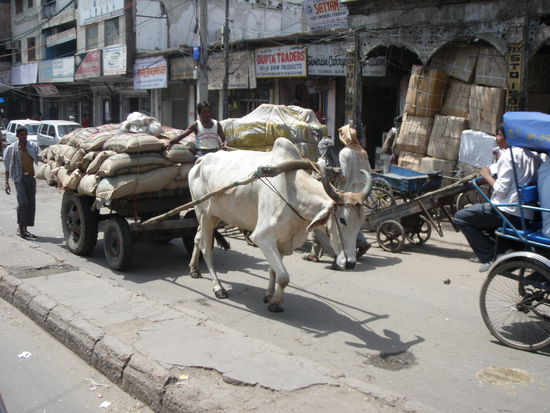Indisches "Transportunternehmen"  in Delhi