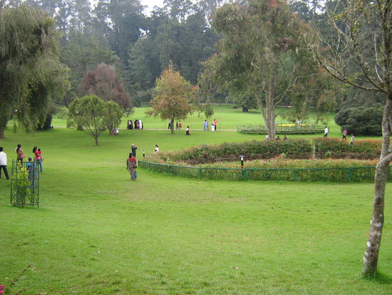 Der botanische Garten
