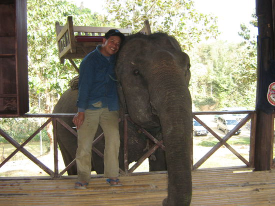 unser Elefant mit dem Führer