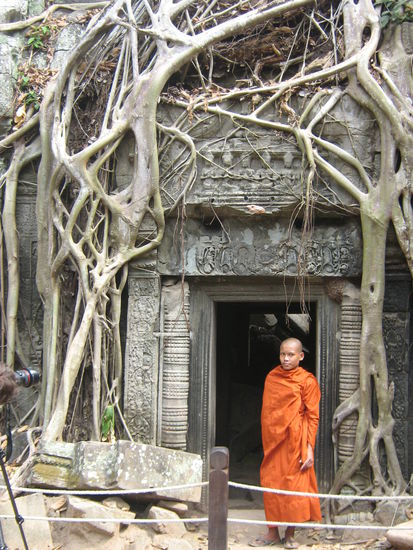 kleiner Mönch vor den überwucherten Tempeln
