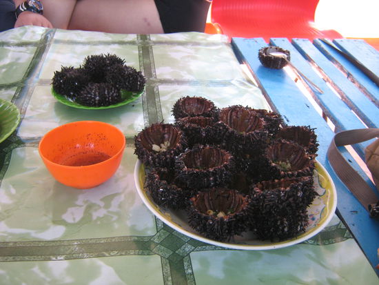 Seeigel zum Mittagessen. Waren gar nicht mal so übel.
