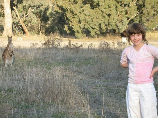 Aranda Bushland Nature Reserve (Canberra): Selina und Kangaroo mit Joey