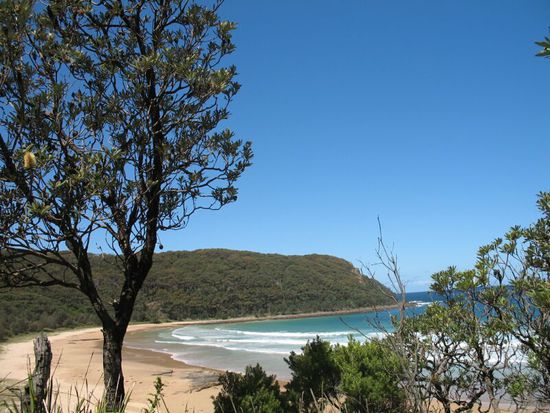 Pebbly Beach - wunderbare, einsame Küsten stellvertretend für Landschaften, die deine Seele küssen