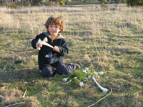 Leon "als ich mit roo bones trommelte", Aranda Bushland Nature Reserve (Canberra)