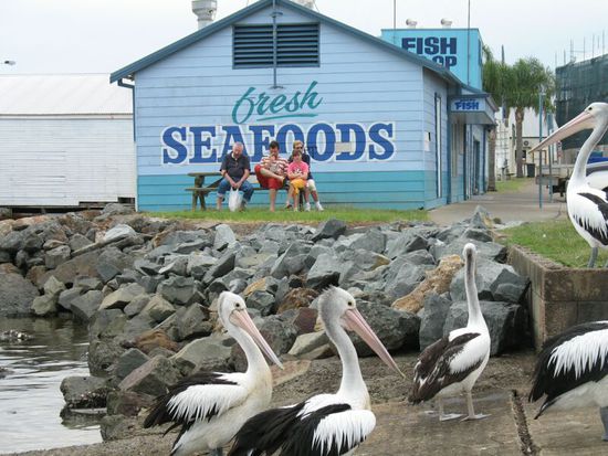 Stillleben - Wer hat hier jetzt das Seafood!
