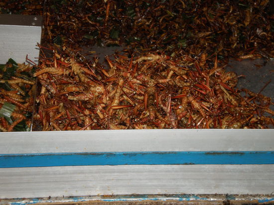 Chaosroadleckereien - NA? Appetit?