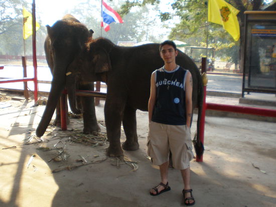 Me and Elefants