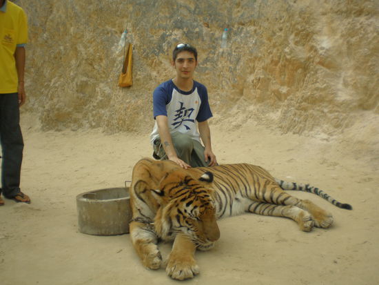 Me and Tiger   
