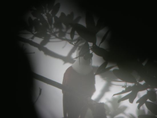 Das Foto ist noch schlimmer... Aber ich kann versichern, dass der Vogel einzigartig schoen ist!