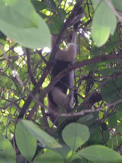 Das Bild ist nicht verkehrt rum... Der crazy Guy macht gerade Morgengymnastik!
