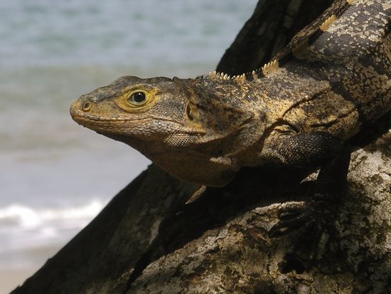 SCHOEN zum ersten...