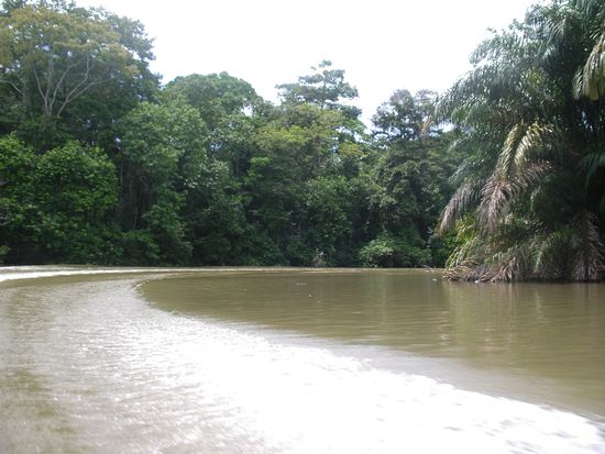 Zum Beispiel deswegen ...