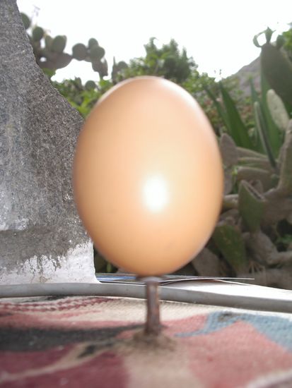 Ganz easy hinzukriegen...