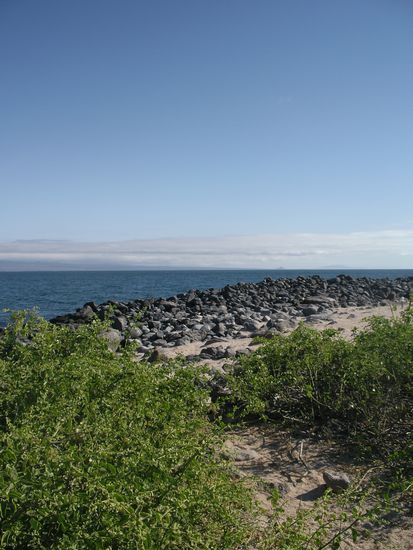 Isla Seymour eher gruen...