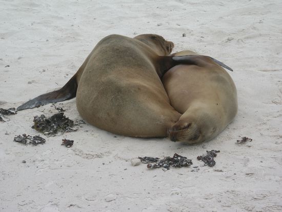Ja, ich hab euch auch lieb !