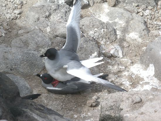 Und hier ging´s um Leben...