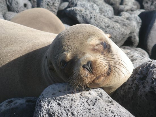 Noch ein bisschen verschlafen, aber trotzdem huebsch!