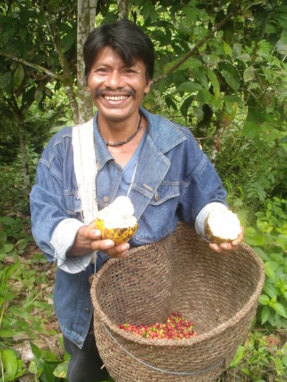 Francisco mit Kaffeebohnen und Kakaofrucht