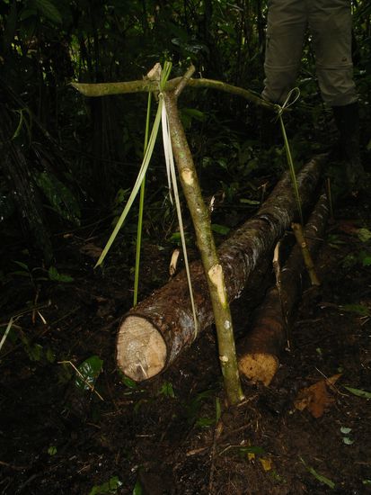 Das ist die Maeusefalle! Fuer Demonstration bitte im Dschungel nachfragen.