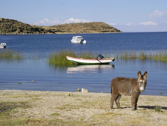 Eine wunderbar ruhige Umgebung, die jedem Esel gefaellt!