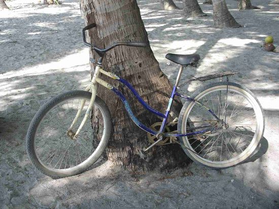La bicicleta antiquaria... Ich glaube dieses Fahrrad ist verwandt mit dem Auto von Bolivar =)!