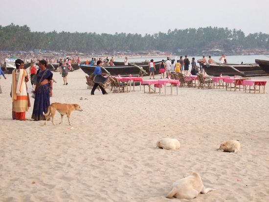 Gewimmel am Palolem Beach