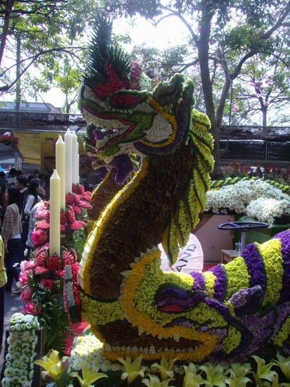 Drache aus Blumen gesteckt.