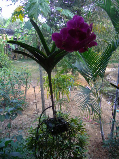 eine von vielen . . .