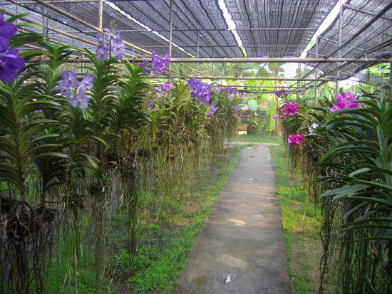 viele, viele, viele . . .