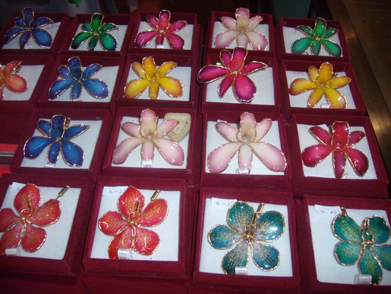 als Ansteckorchidee . . .