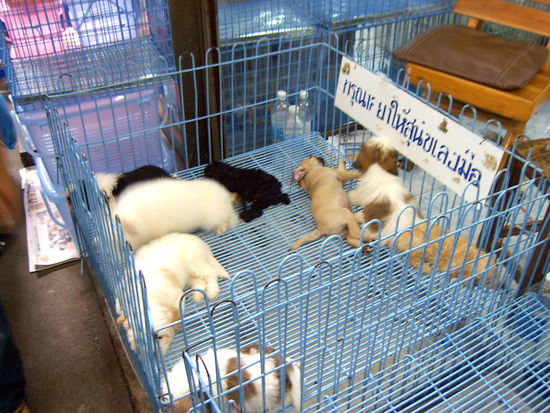 Hoffentlich nicht lecker ?!