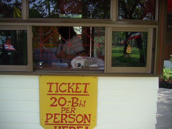 Zahlstelle am Tempeleingang
(mit schlafender Katze)