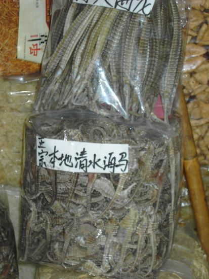 getrocknete Seepferdchen