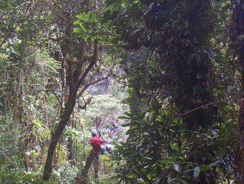 Canopy-Tour durch den Nebelwald