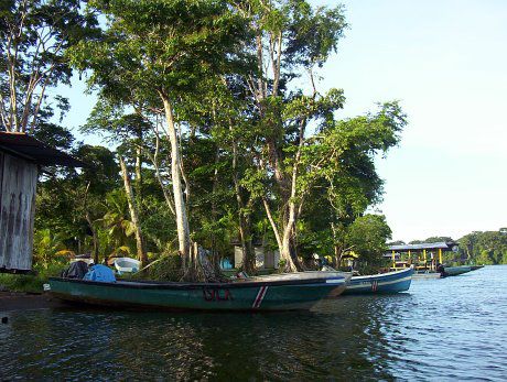 Bootsfahrt nach Tortuguero
