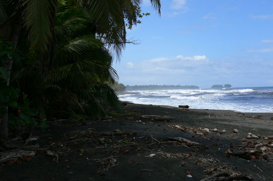der strand in gandoca
