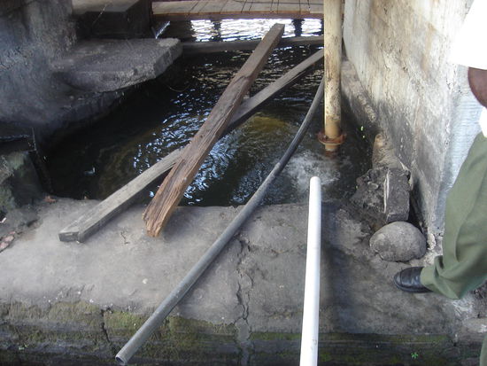 Die Kühlschlange befindet sich hier unter Wasser