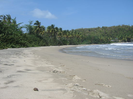 Blick fast ueber den gesamten Strand