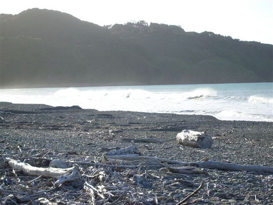 beach of camp in Te Araroa