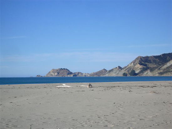 Beach at Te Puka