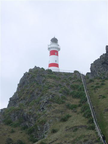Cape Palliser