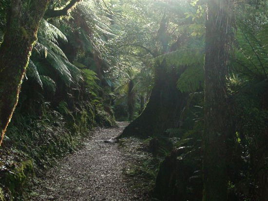 Lake Waikareiti Walkway